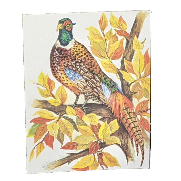 Wild Bird Notecards Blank LOT OF 13 Some Duplicates 4.25 x 5.5" White Envelopes - Picture 5 of 11